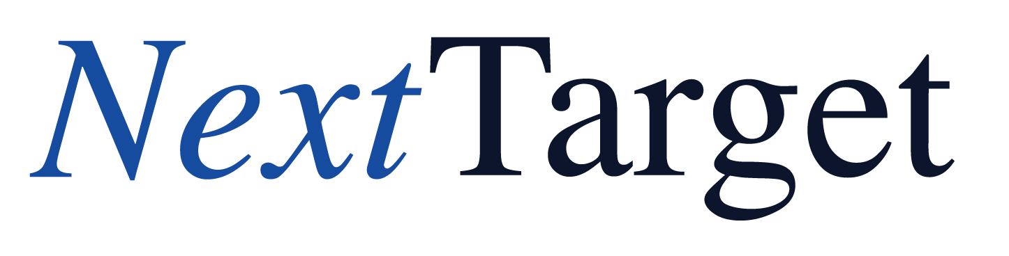 Next Target full logo preview on a white background