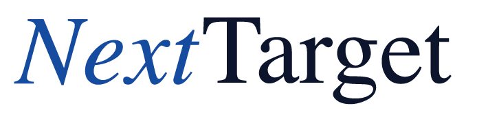 Next Target full logo preview on a transparent background